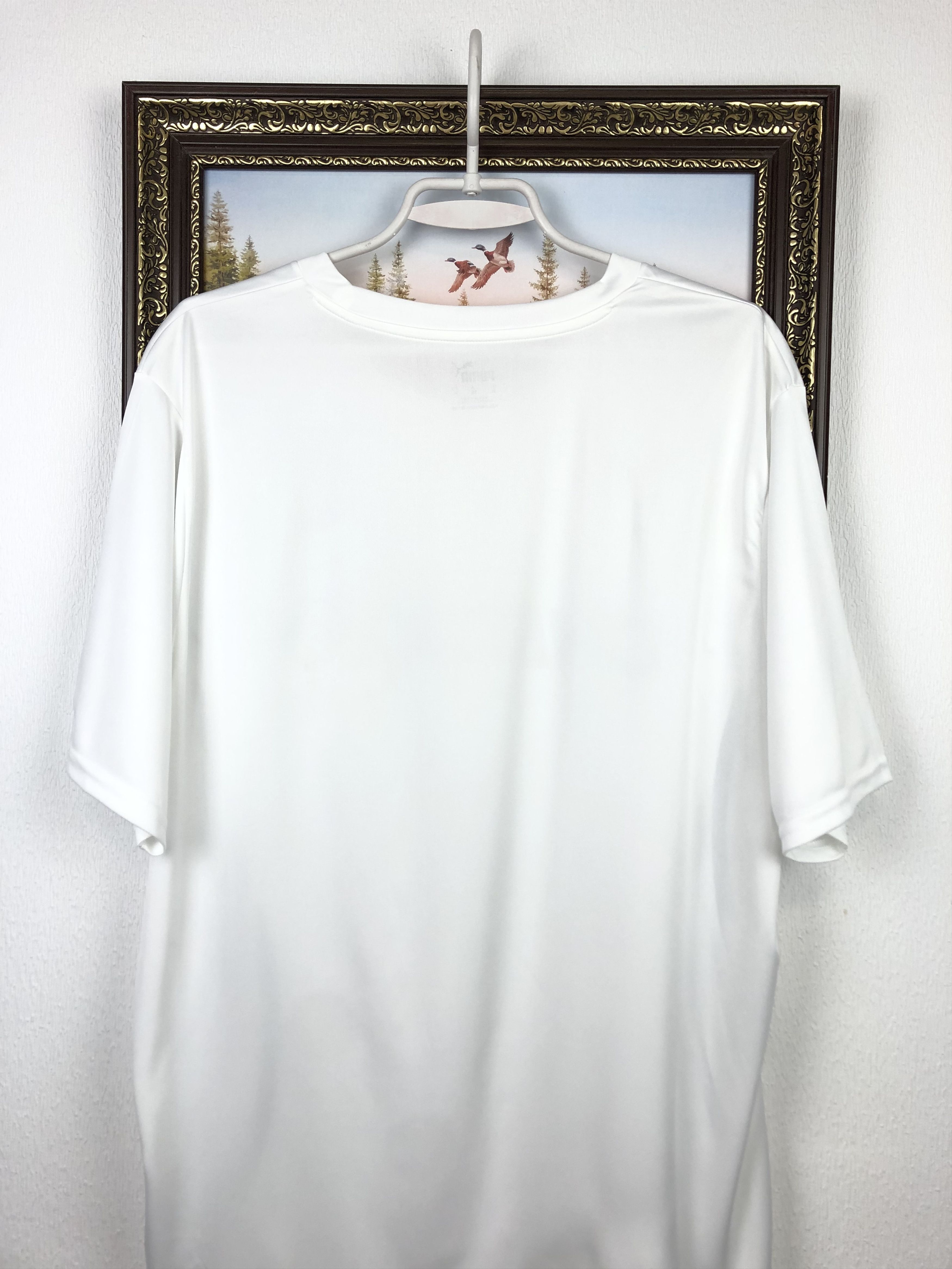 Puma Germany Deutschland Shirt Sport Athletic Jersey Tee Hype Size US XL / EU 56 / 4 - 10 Thumbnail