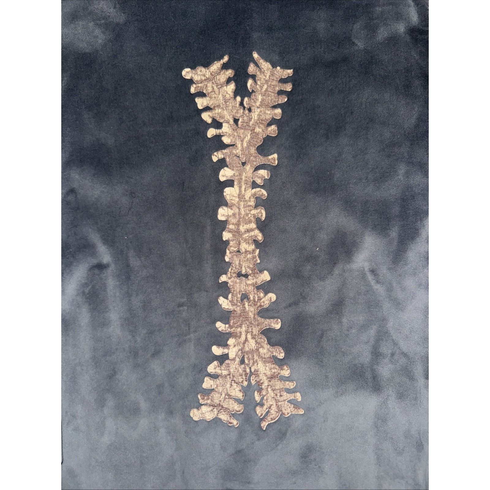Vintage Velour Full Zip Skeleton Hoodie M Gothic Y2K Grunge 19x25 Size US M / EU 48-50 / 2 - 6 Thumbnail