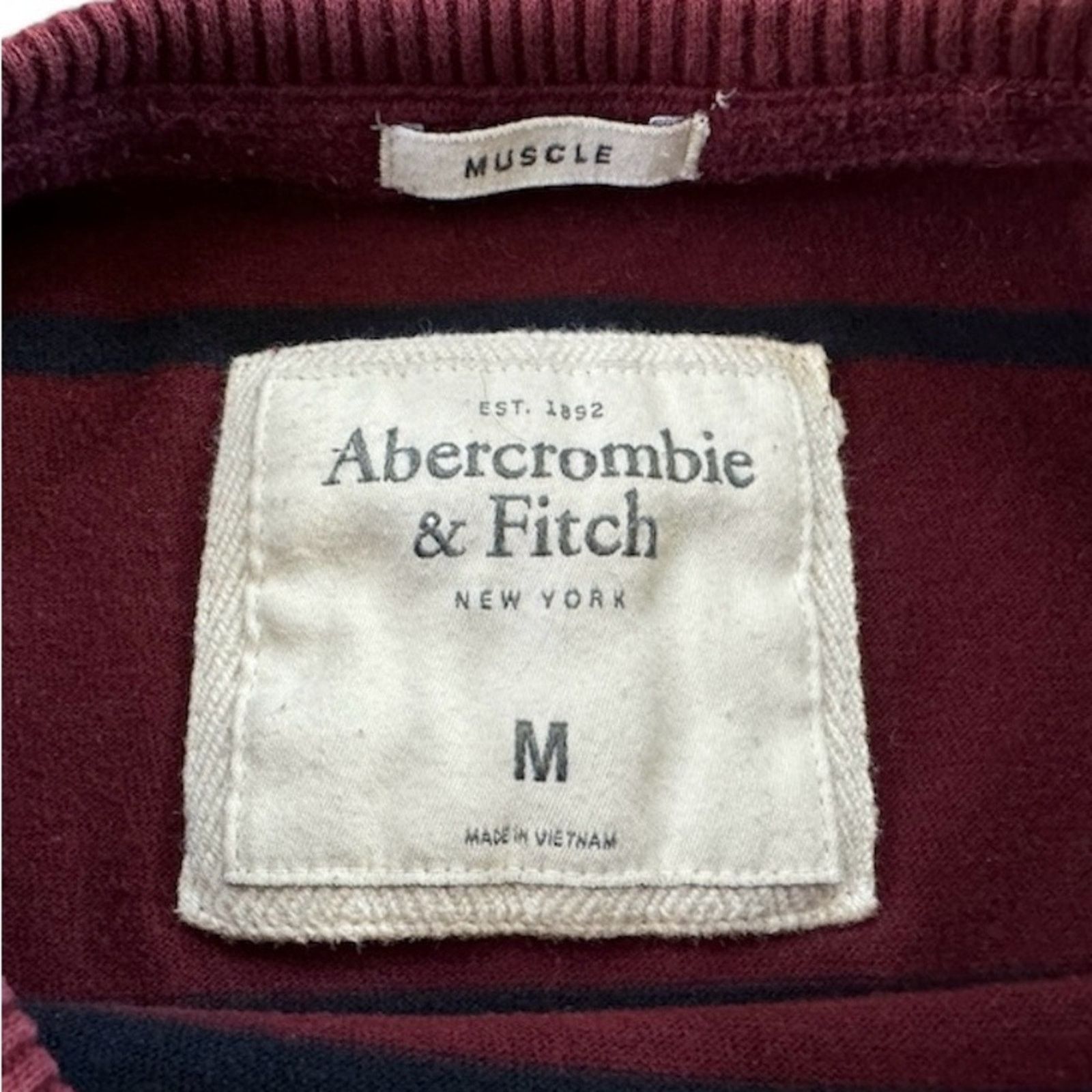 Abercrombie & Fitch Abercrombie & Fitch Burgundy Striped Long Sleeve Tee Size US M / EU 48-50 / 2 - 3 Thumbnail