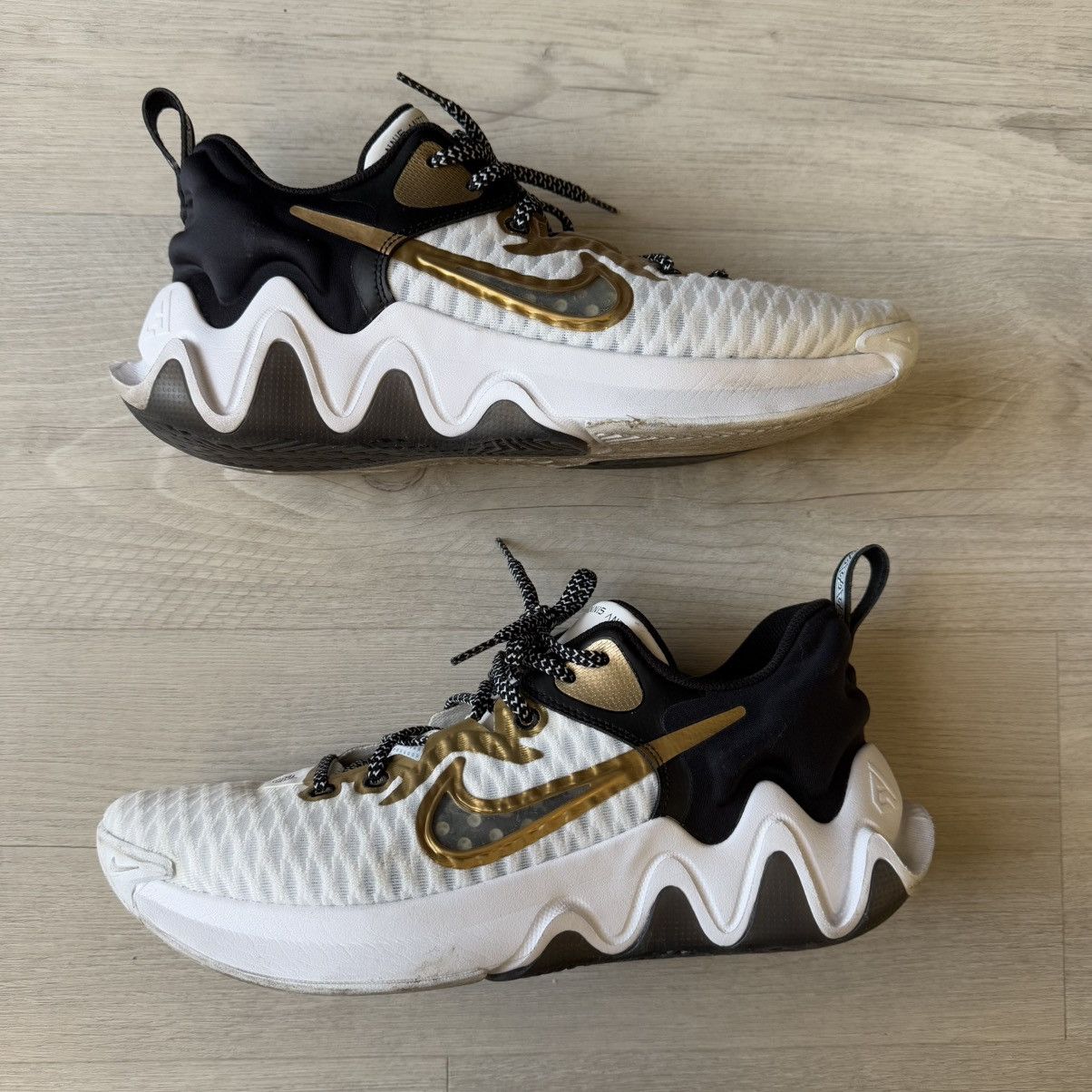 Nike Giannis Immortality Championship CZ4099-100