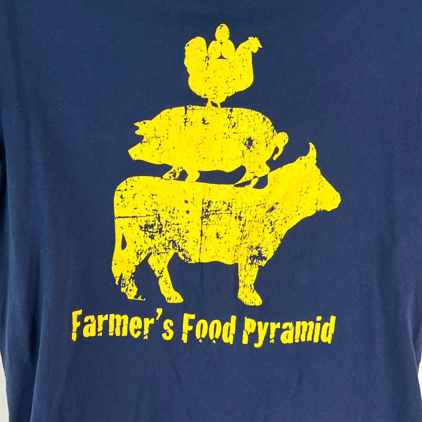Gildan Gildan Farmer's Food Pyramid Mens T Shirt Blue L Heavy Cotton Graphic Short Sleeve Crew Neck Regular Fit Size US L / EU 52-54 / 3 - 2 Thumbnail