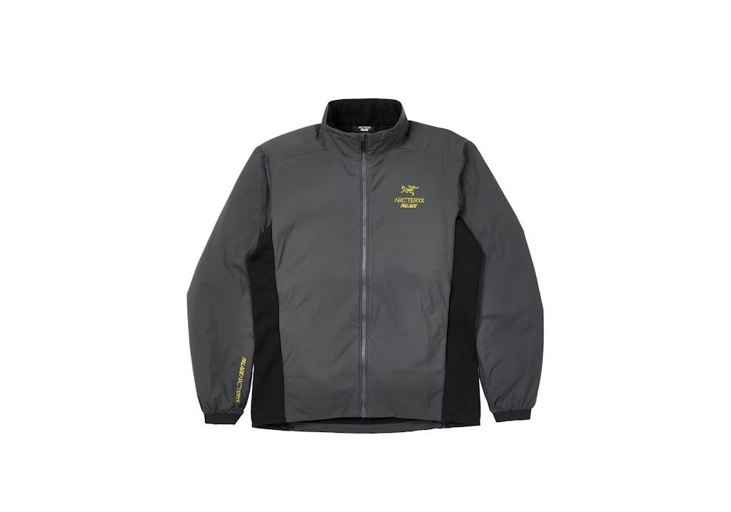 Arc'teryx × Palace Palace x Arc'teryx Alpha SV Jacket Grey | Grailed