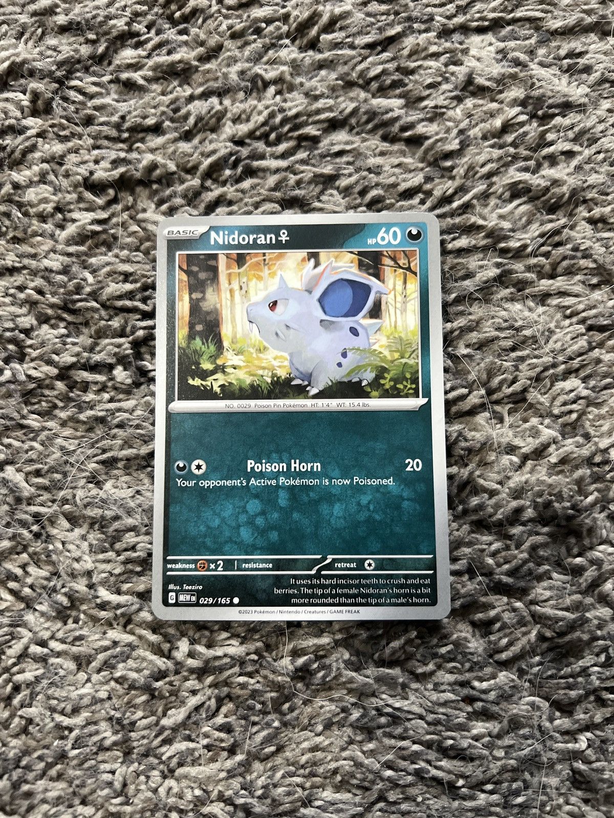 Pokemon 2023 Pokémon Nidoran Basic Card Size ONE SIZE - 1 Thumbnail