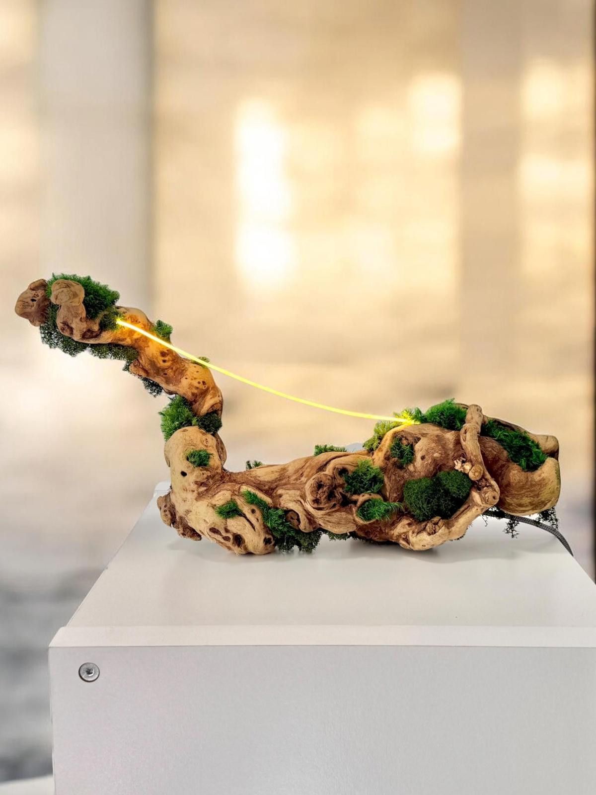 Other Driftwood, Original Grapevine Sculpture Lamp Preserved Moss Size ONE SIZE - 3 Thumbnail