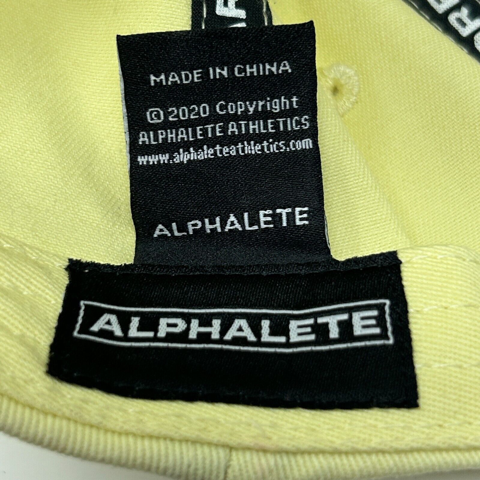 Alphalete Athletics Alphalete Athletics Dad Hat Baseball Cap Fitness Size ONE SIZE - 8 Thumbnail