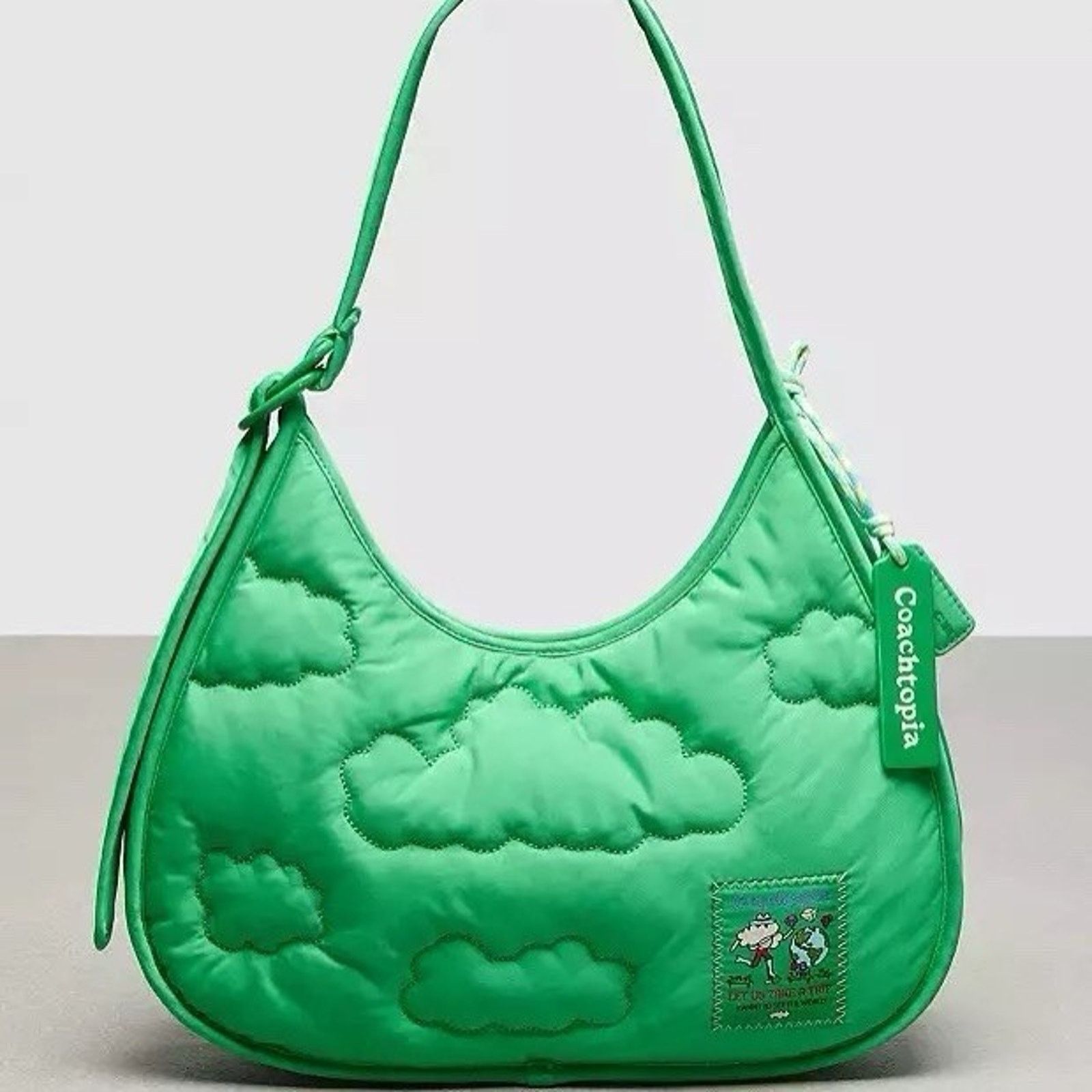 Coach NWT Coach CV875 Coachtopia Loop Ergo Bag Cloud Kelp Purse Size ONE SIZE - 6 Thumbnail