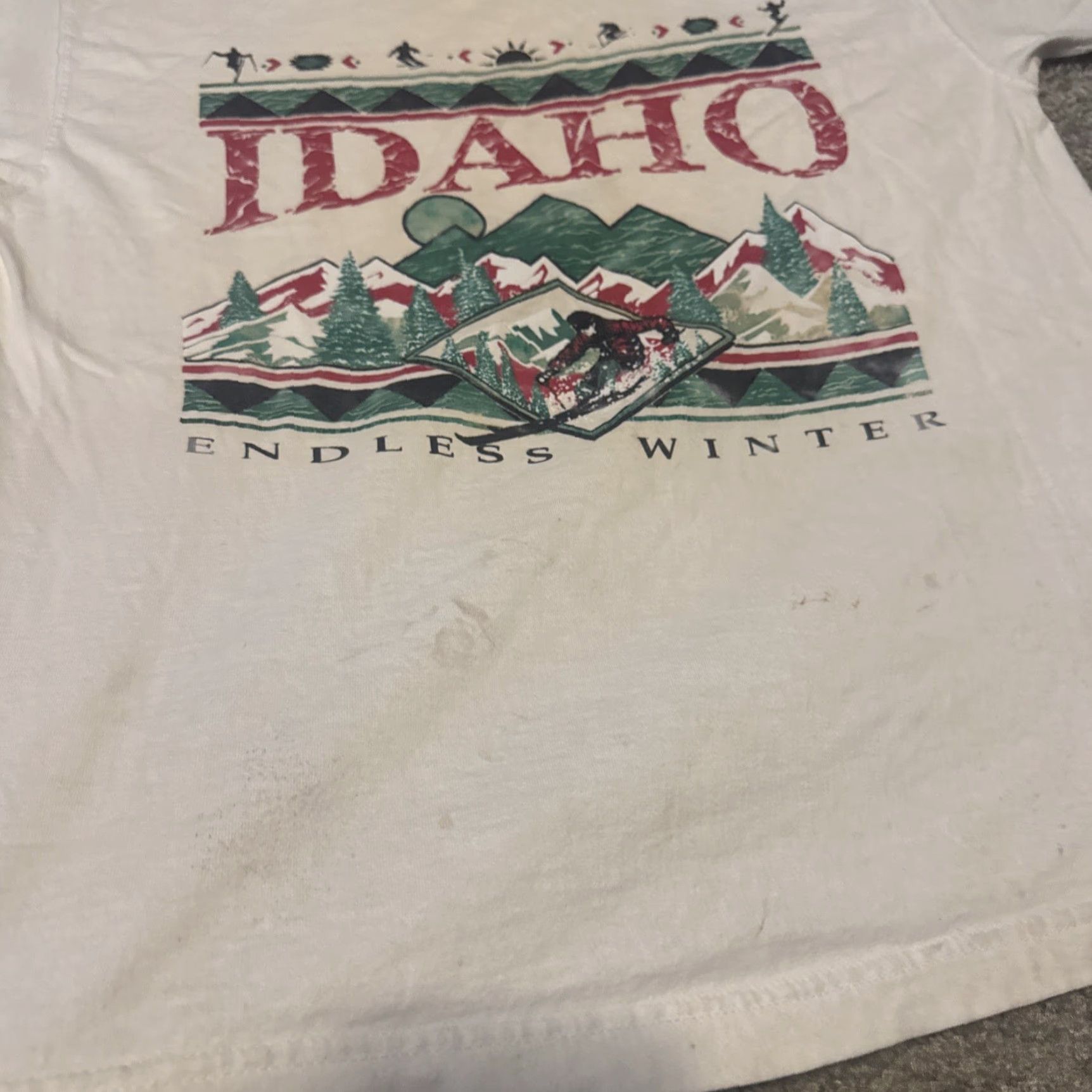 Endless VINTAGE IDAHO Endless Winter Sports Snowboard Ski T-Shirt 90s Large Skiing Mens White L Size US L / EU 52-54 / 3 - 4 Thumbnail