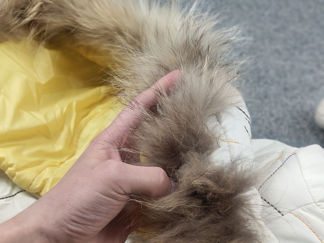 If Six Was Nine Rare Vintage Y2K Baby Phat Fur Jacket Ribbed LGB Grunge Size M / US 6-8 / IT 42-44 - 19 Thumbnail