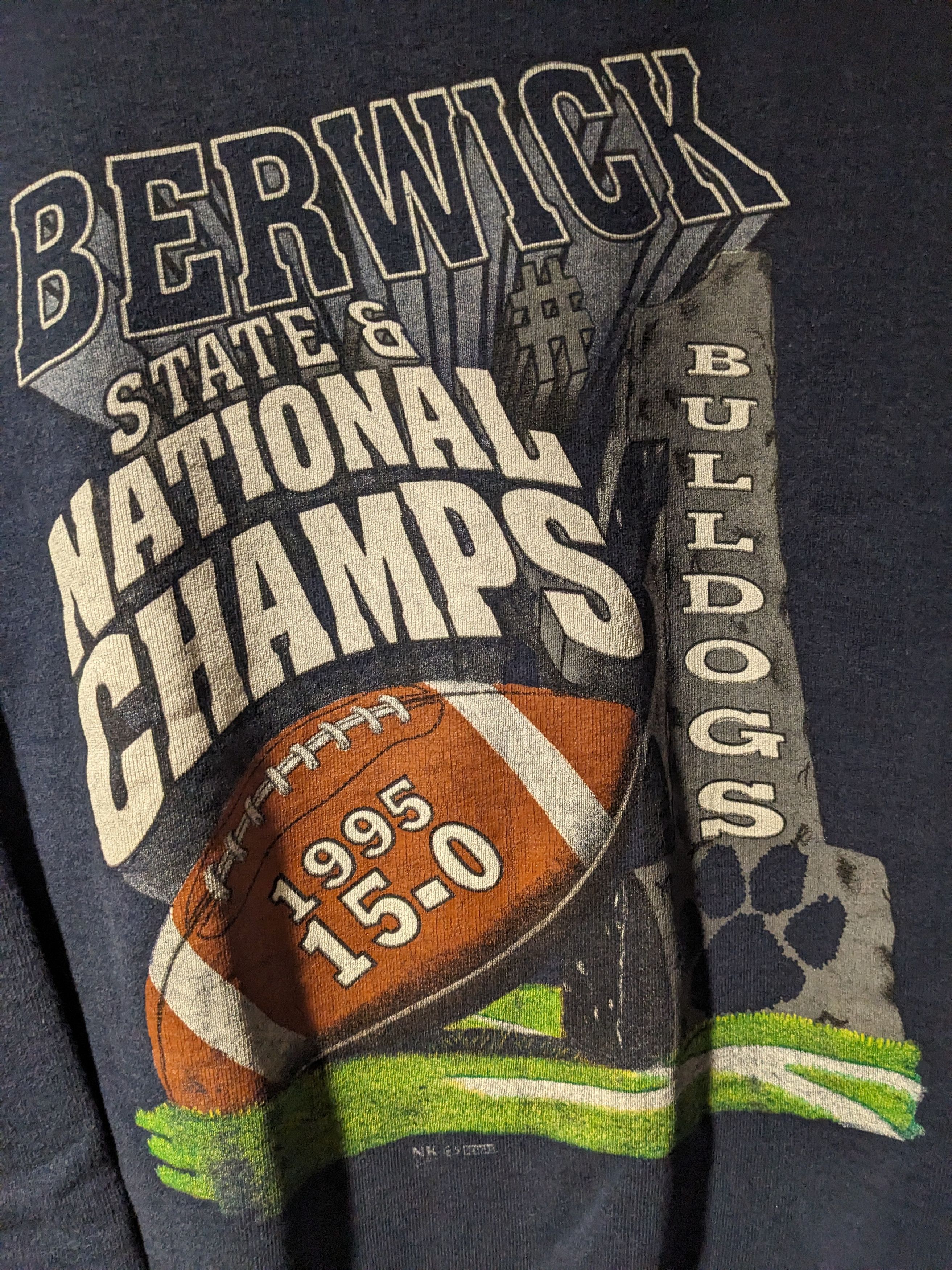 Vintage Vintage 1995 Berwick High School Football Champs Sweatshirt Size US M / EU 48-50 / 2 - 2 Thumbnail