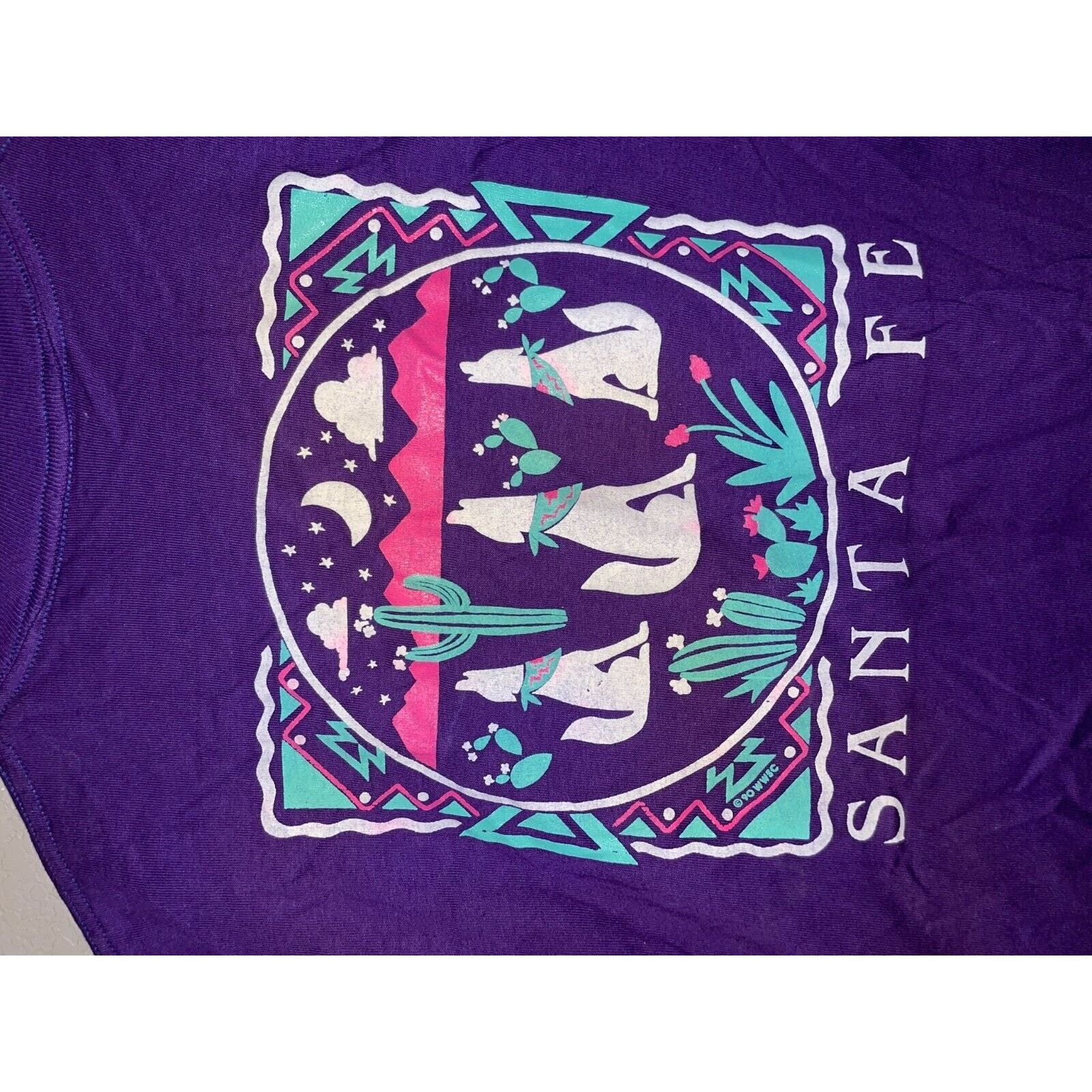Jerzees Vintage Test Print Shirt Virginia Santa Fe Tee VTG 90s M Size US M / EU 48-50 / 2 - 9 Thumbnail