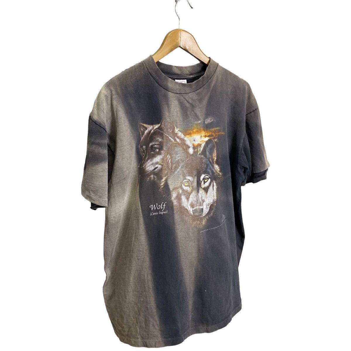 Delta Vintage 90s Delta Wolf Canis Lupus faded Size US XL / EU 56 / 4 - 2 Thumbnail