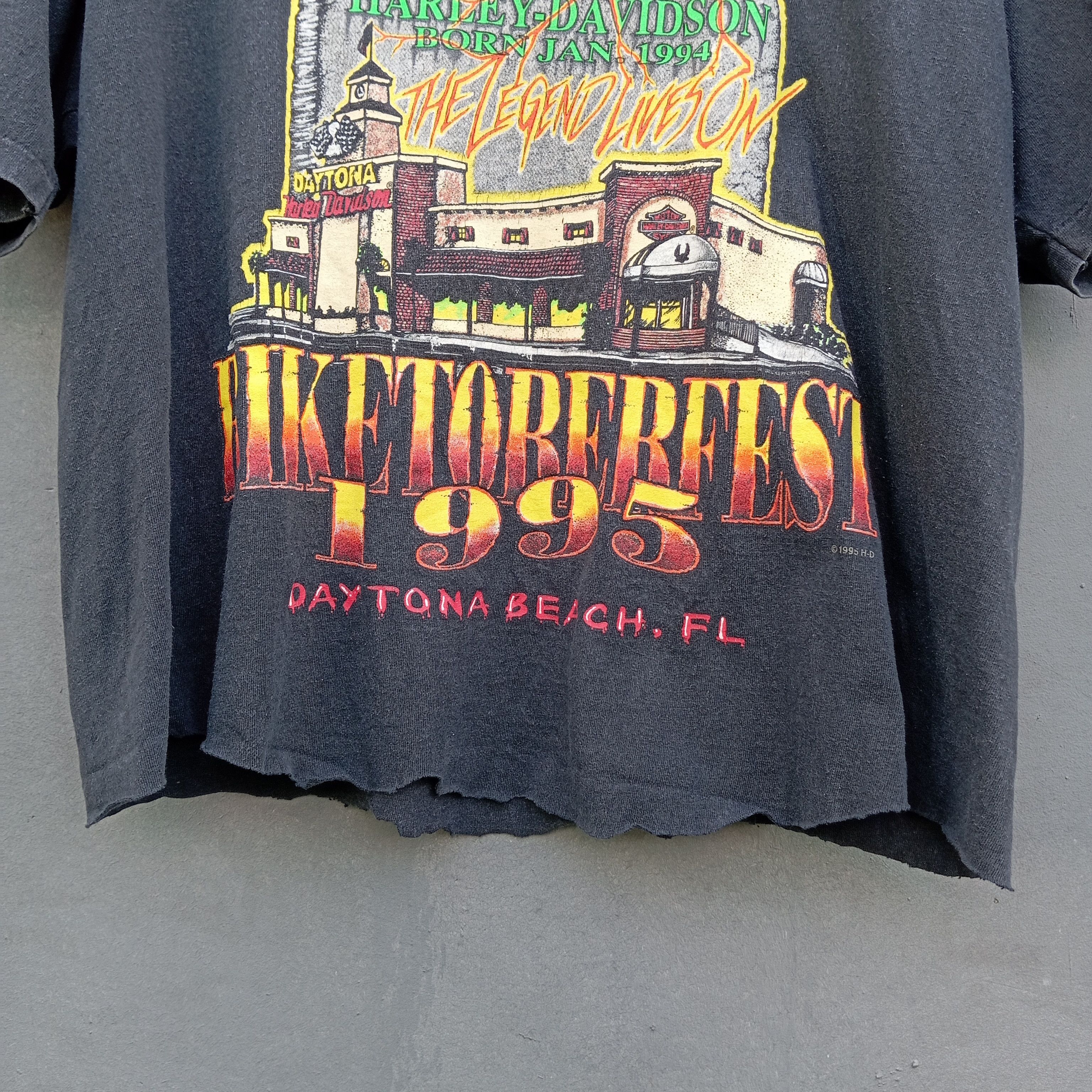 Harley Davidson 1995 Harley Davidson Daytona crop Tees t shirt Size US L / EU 52-54 / 3 - 7 Thumbnail