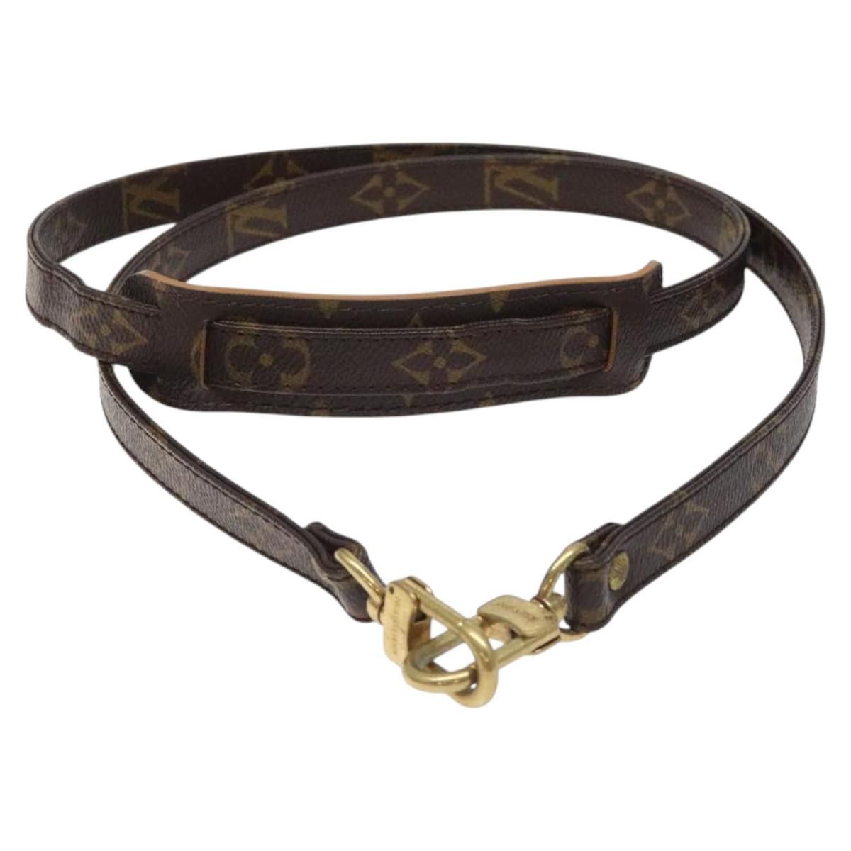 Louis Vuitton Louis Vuitton Shoulder strap bag Size ONE SIZE - 1 Thumbnail