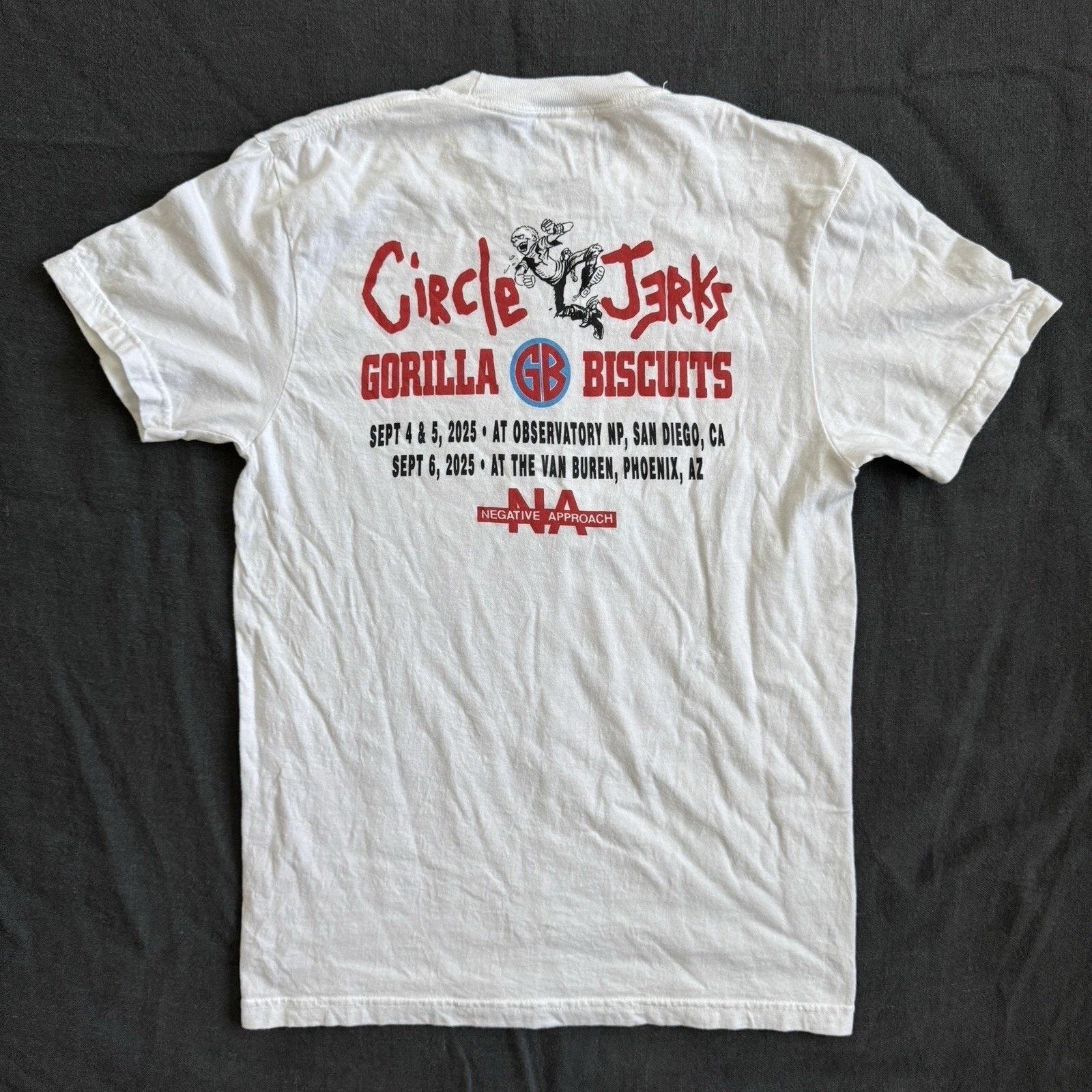 Comfort Colors 2025 Circle Jerks Gorilla Biscuits Tour T Shirt Shawn Kerri Size US S / EU 44-46 / 1 - 4 Thumbnail