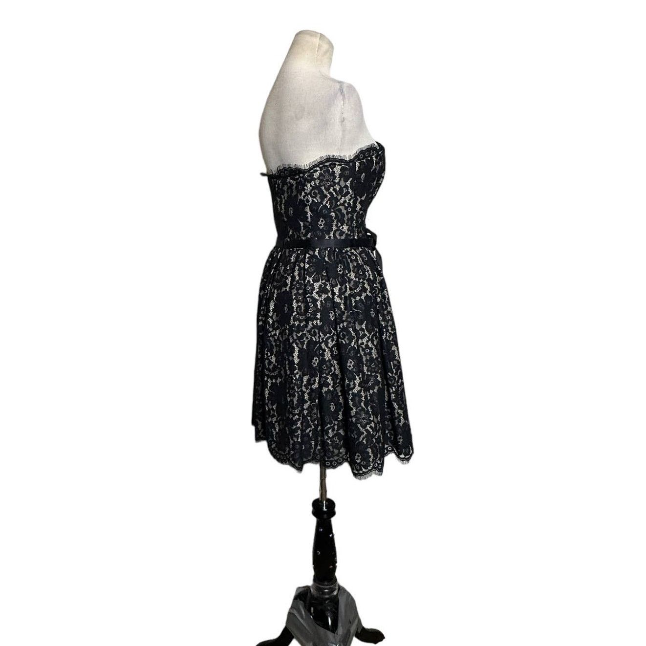 Robert Rodriguez Robert Rodriguez Lace Strapless Party Cocktail Dress Size 6 Size M / US 6-8 / IT 42-44 - 9 Thumbnail