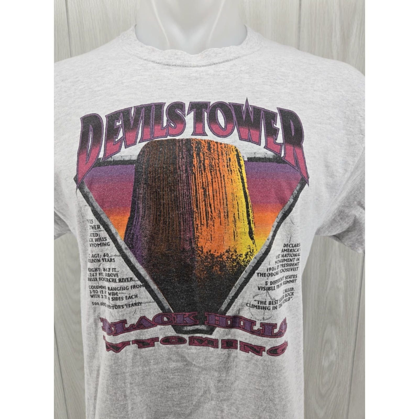 Port & Company VTG 90s Devils Tower Wyoming Gray Shirt Graphic Tee Port & Company L Men Casual T-Shirt Size US L / EU 52-54 / 3 - 2 Thumbnail