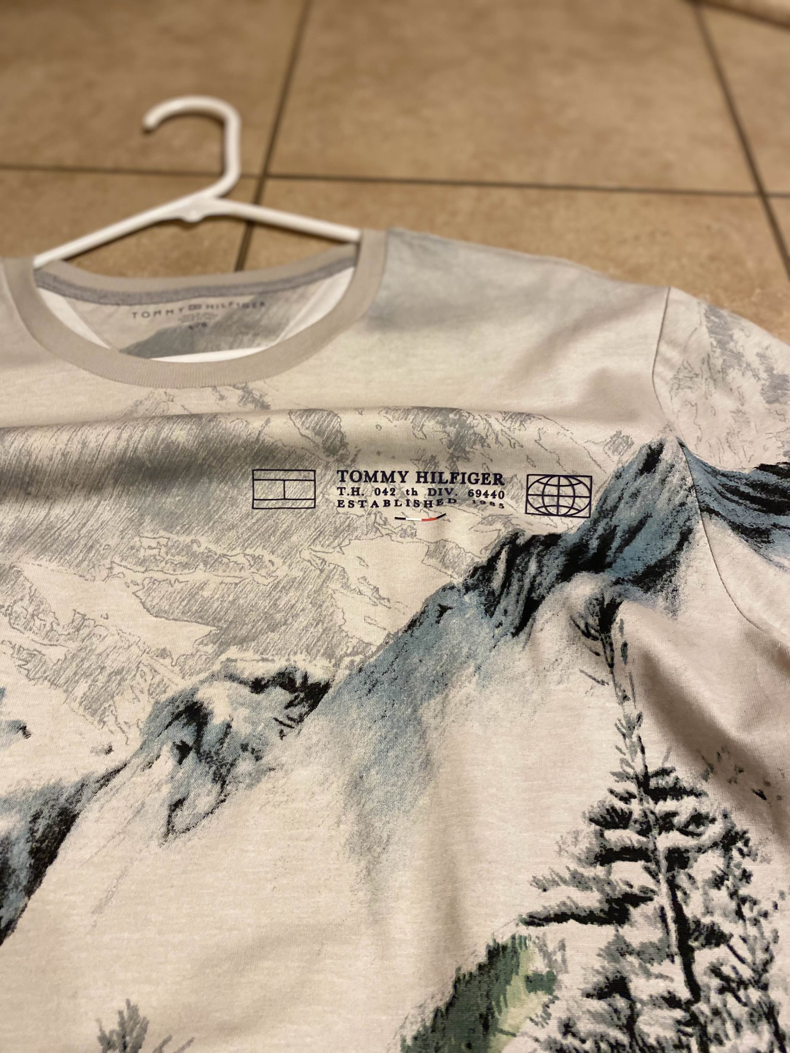 Tommy Hilfiger Tommy Hilfiger Landscape T-Shirt Size US L / EU 52-54 / 3 - 3 Thumbnail