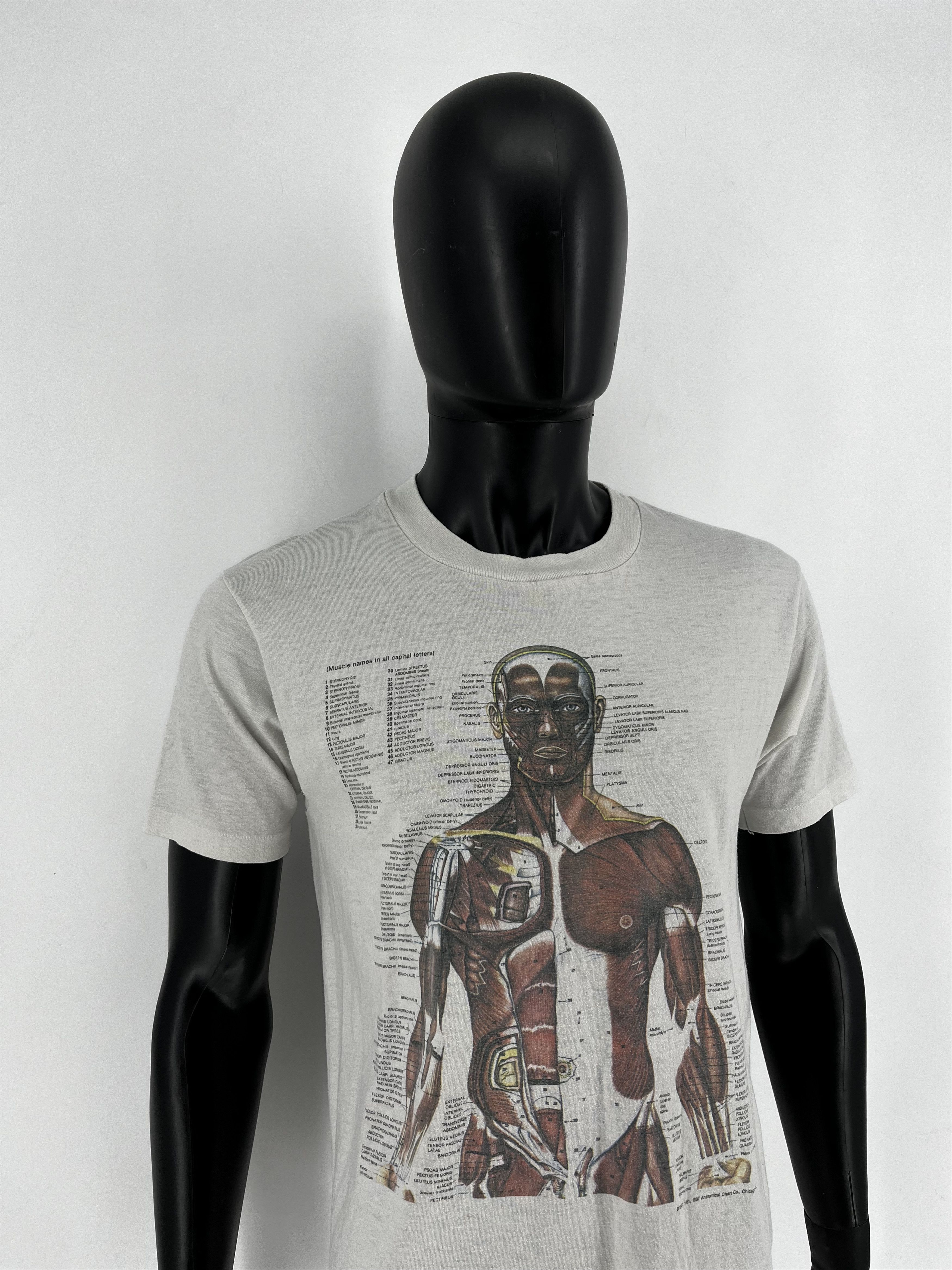 Nirvana Anatomy Muscle Shirt Same Print as Kurt Cobain Rare Medical Size US L / EU 52-54 / 3 - 3 Thumbnail