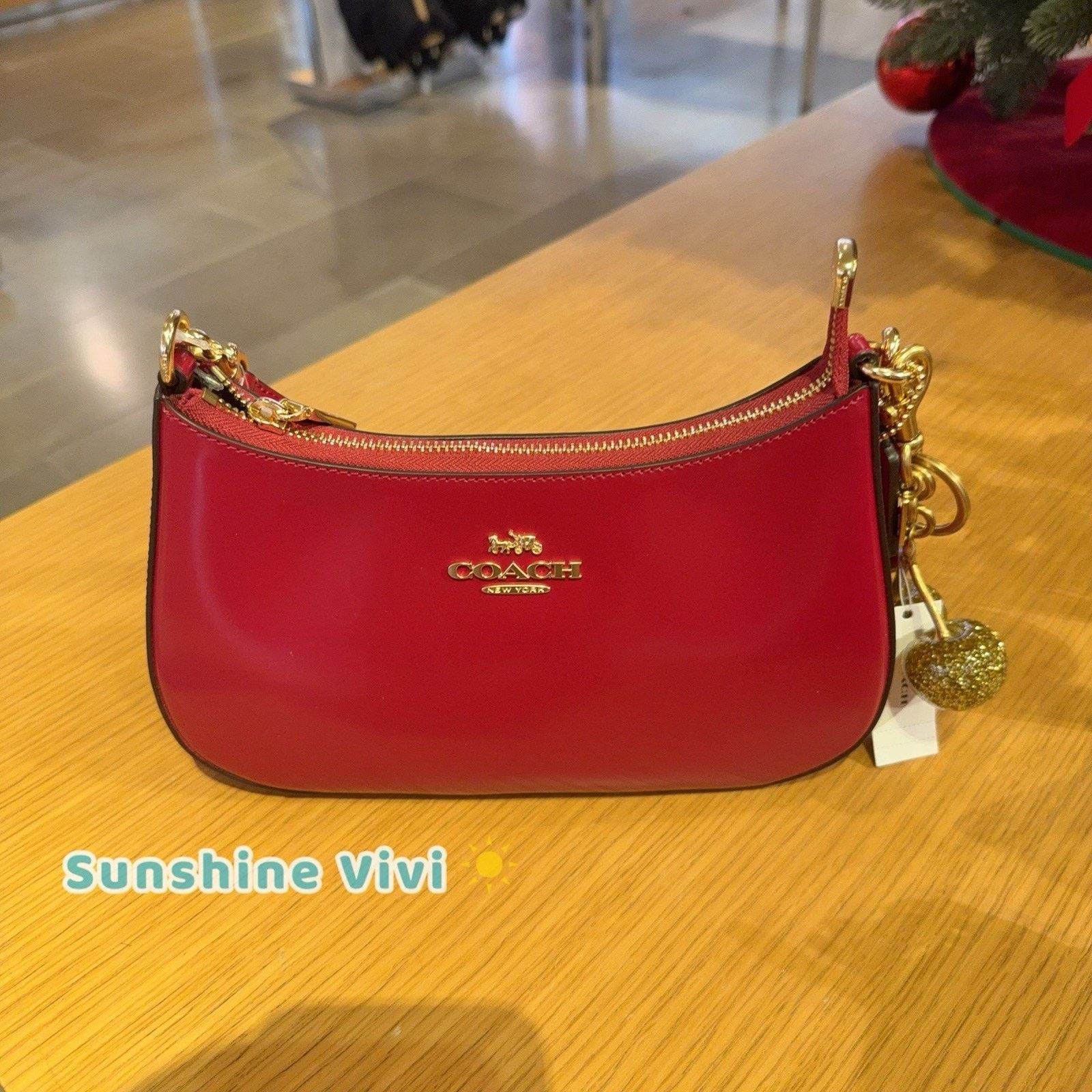 Coach NWT Bundle Coach CV938 Teri Red & Cherry Bag Charm 77840 Size ONE SIZE - 9 Thumbnail