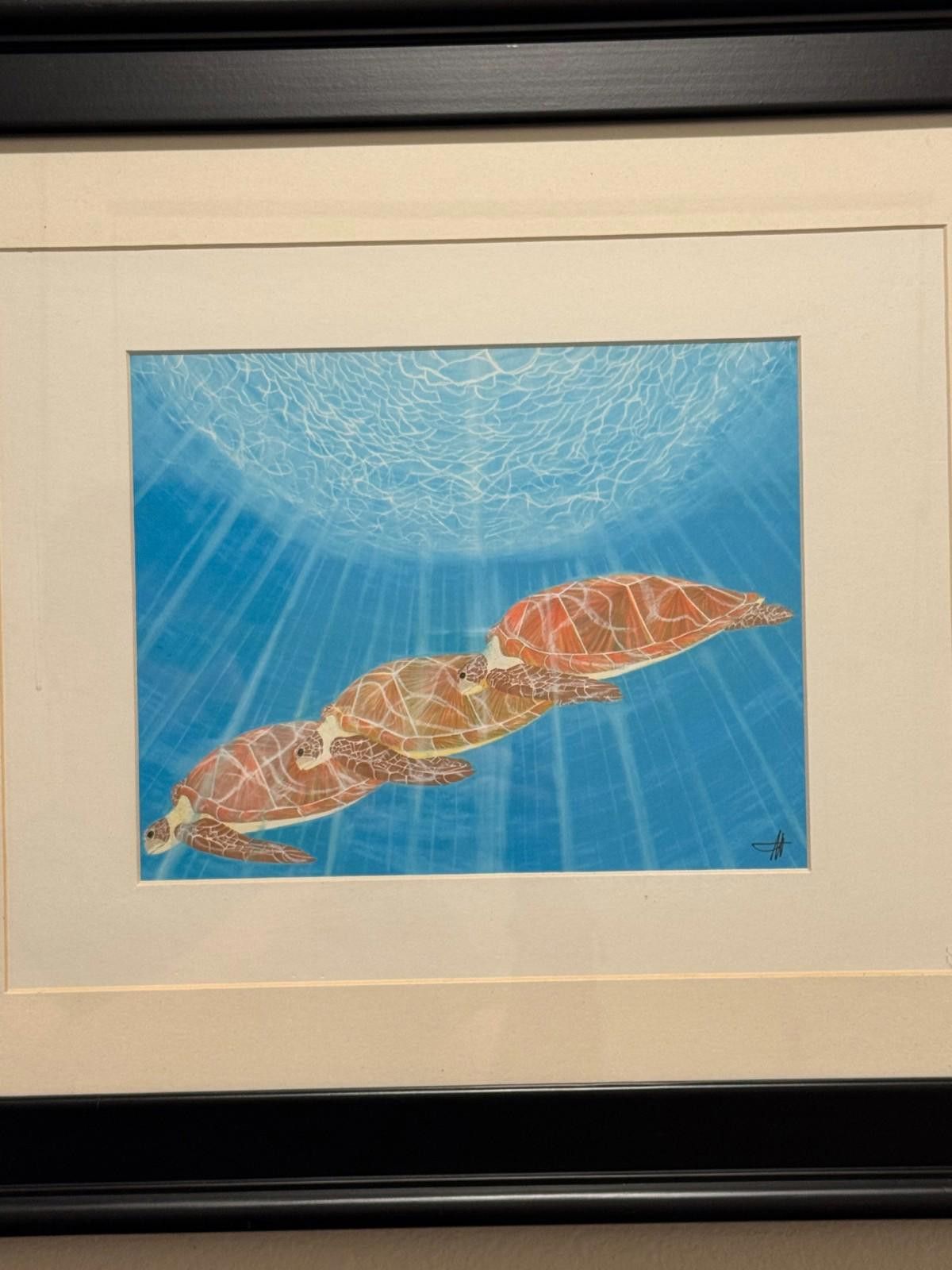 Other Scott Wright La Jolla Framed Sea Turtles Underwater Art Prin Size ONE SIZE - 4 Thumbnail