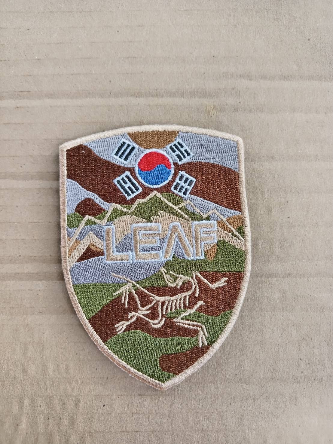 ARC&#39;TERYX - Arc&#39;teryx Leaf 公認　純正PCV Velclo Patch ARC'TERYX - Arc'teryx Leaf 公認 純正PCV Velclo Patchの通販
