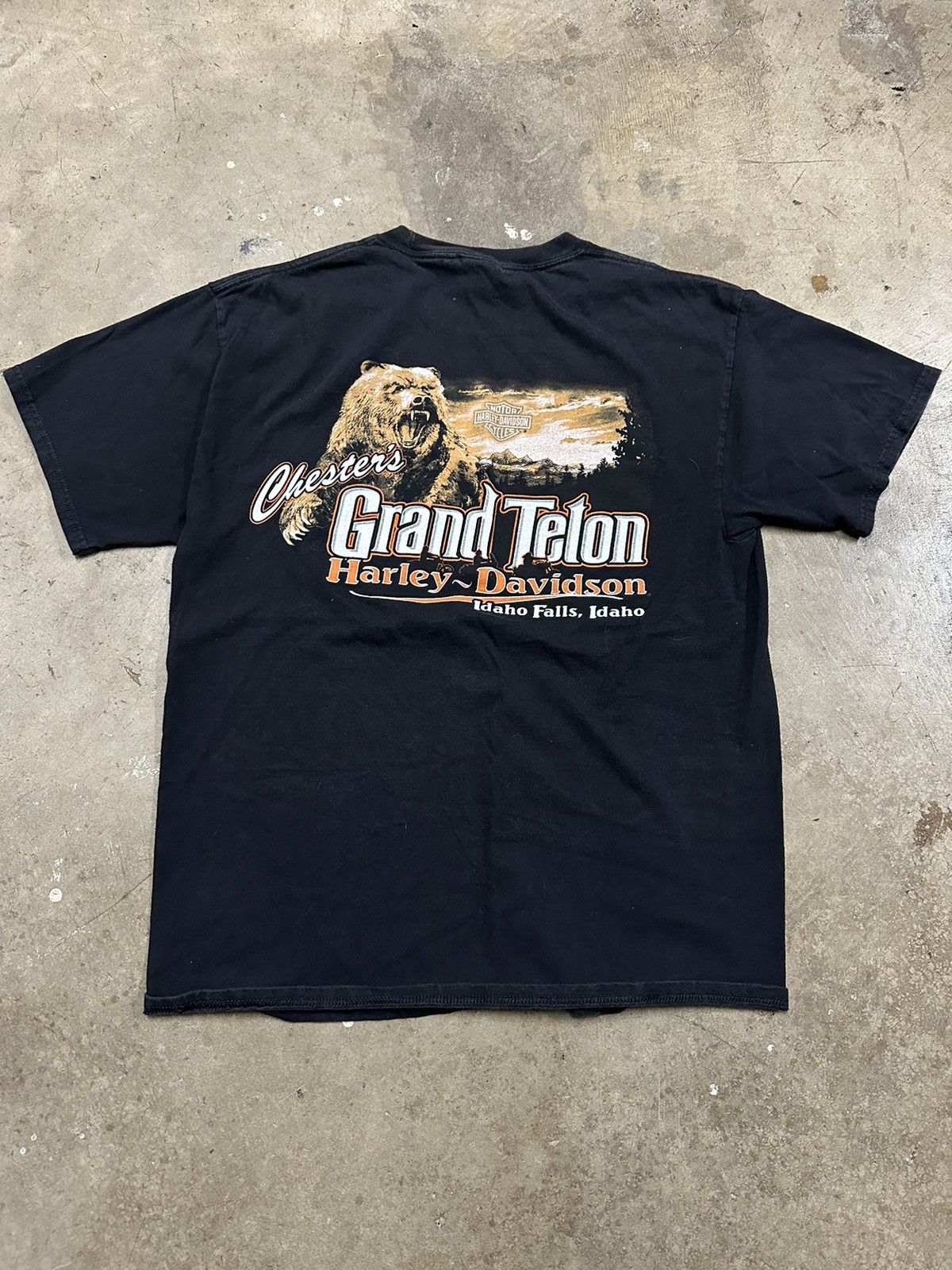 Hardior Bear T-Shirt main image 1