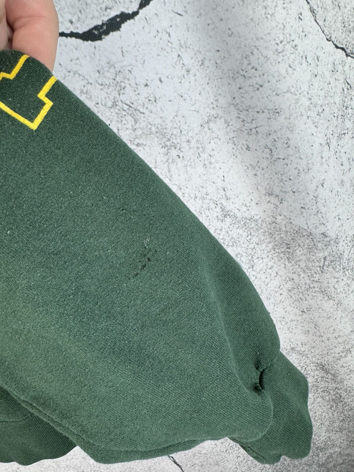 Champion Vintage Champion Wayne State University Detroit Hoodie Size US M / EU 48-50 / 2 - 4 Thumbnail
