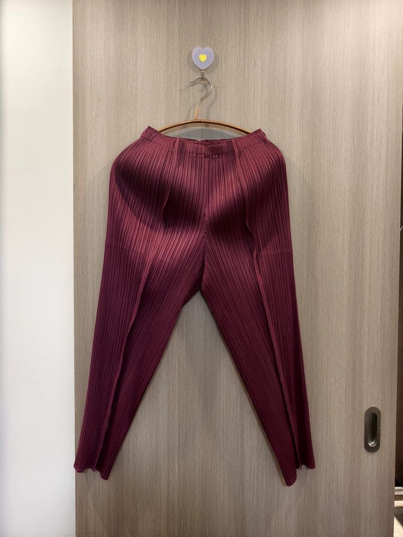 Issey Miyake Pleats Please Burgundy Pants-dmc