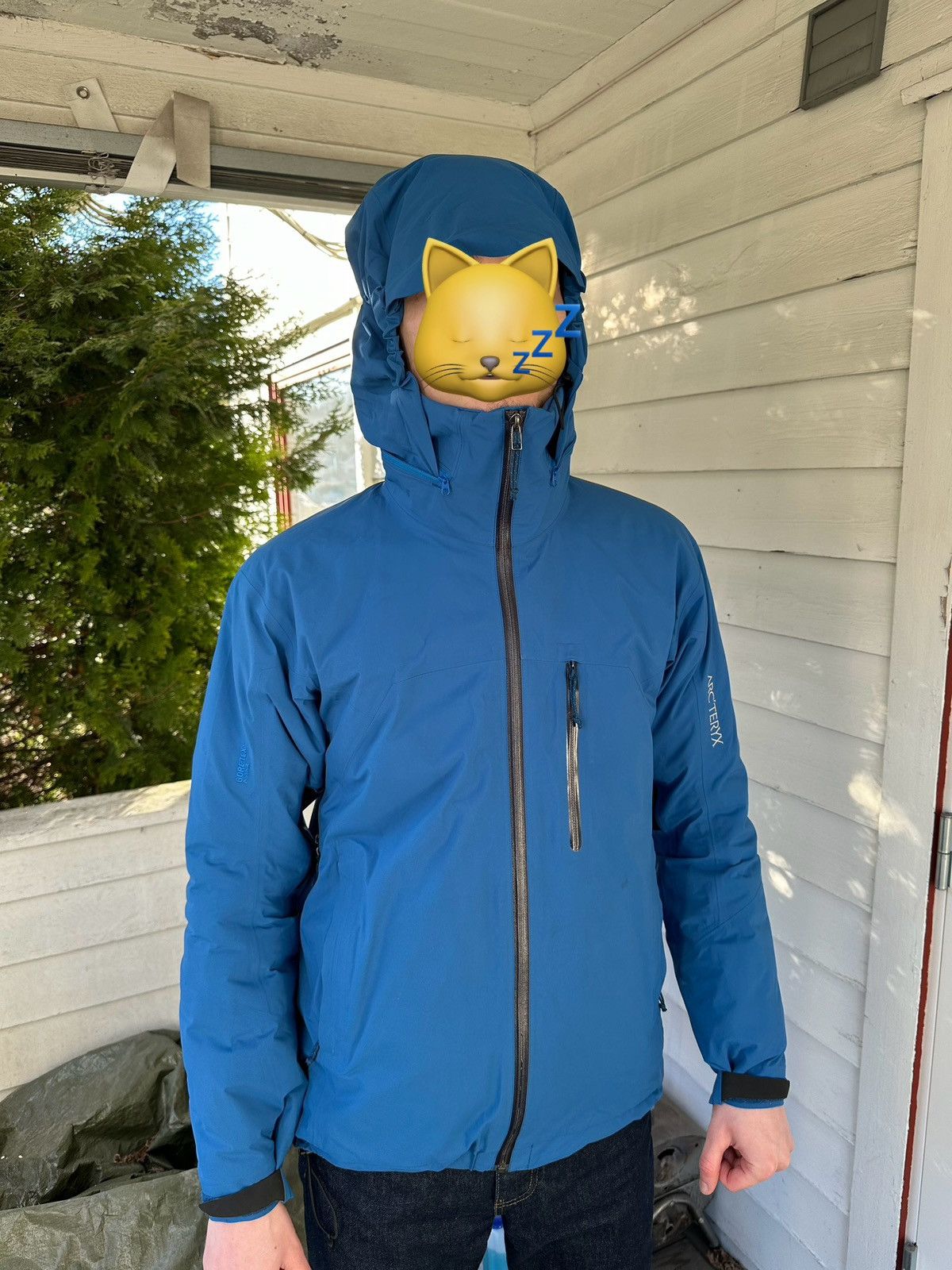 Arc'teryx Arcteryx Beta Insulated Sentry Jacket Gore Tex Pro Ski Size US M / EU 48-50 / 2 - 21 Thumbnail