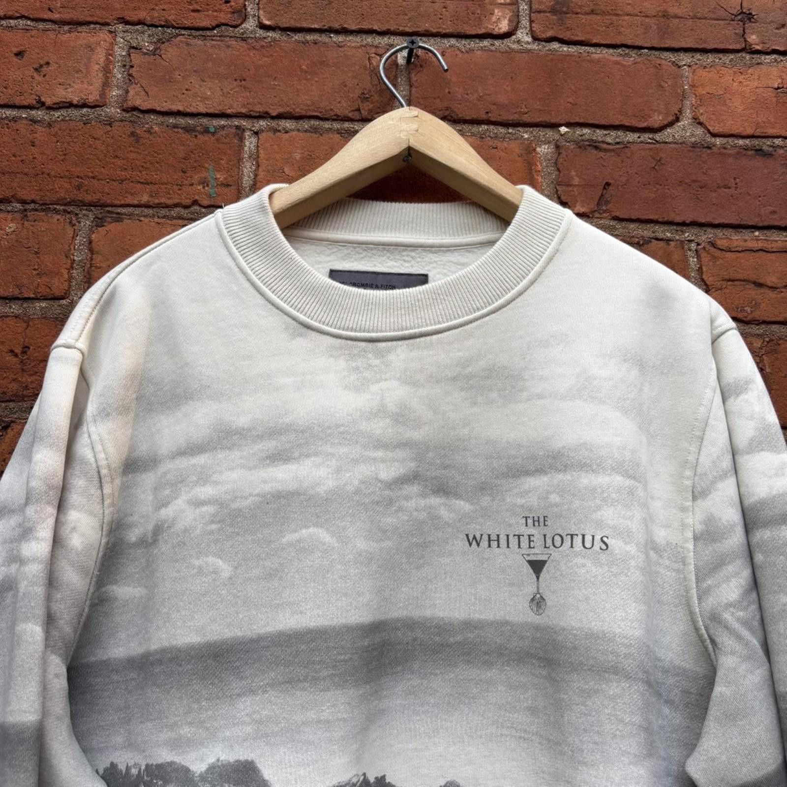 Abercrombie & Fitch white lotus Abercrombie and fitch crewneck sweatshirt Size US L / EU 52-54 / 3 - 2 Thumbnail
