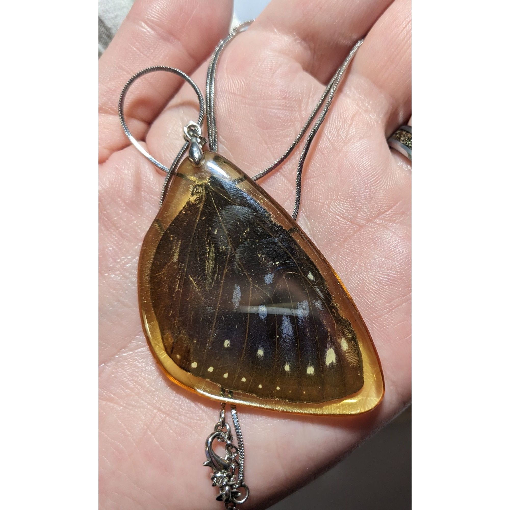 Other Preserved Butterfly Wing Necklace Size ONE SIZE - 7 Thumbnail
