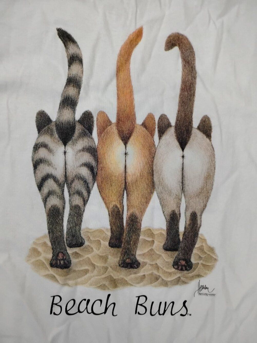 Hanes Vintage Beach Bums Hawaii Cat Kitten Bob Harrison T-Shirt Size US XL / EU 56 / 4 - 7 Thumbnail