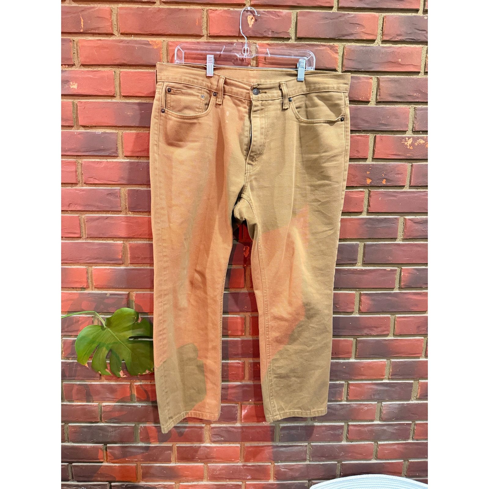 Levi's Levi’s Brown Pants Size US 36 / EU 52 - 2 Thumbnail
