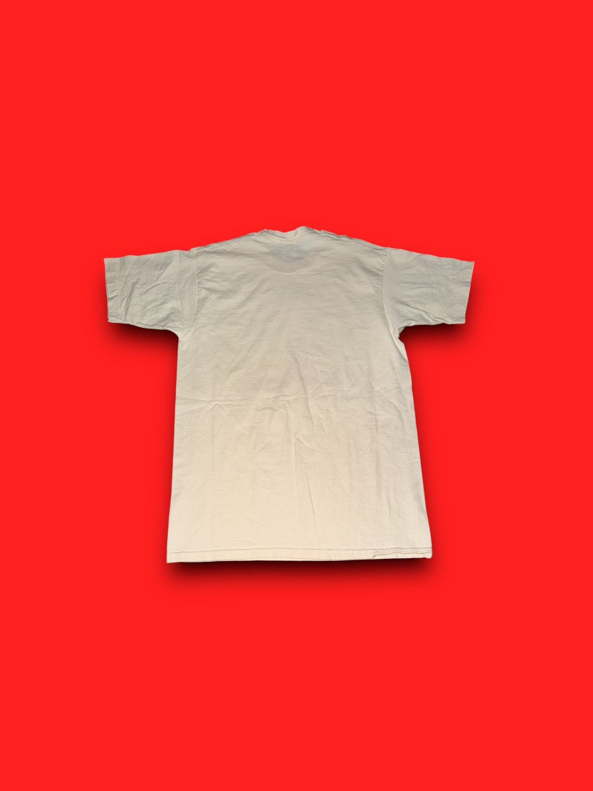 Fruit Of The Loom Vintage greater St. Louis area sports day single stitch tee Size US L / EU 52-54 / 3 - 2 Thumbnail