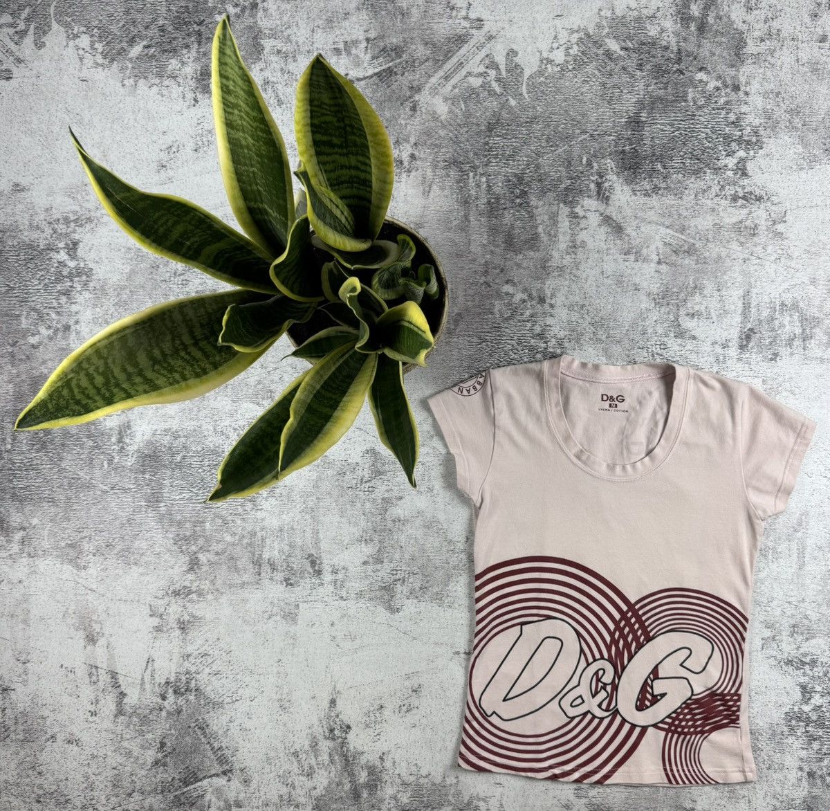Dolce & Gabbana Dolce & Gabbana Slim Cotton Lycra Vintage Y2K Logo Jersey Women’s T Shirt Top Size M / US 6-8 / IT 42-44 - 1 Thumbnail