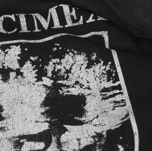 Japanese Brand Hardcore Metal Anti Cimex Graphic Printed Cotton Tshirt Size US XL / EU 56 / 4 - 3 Thumbnail