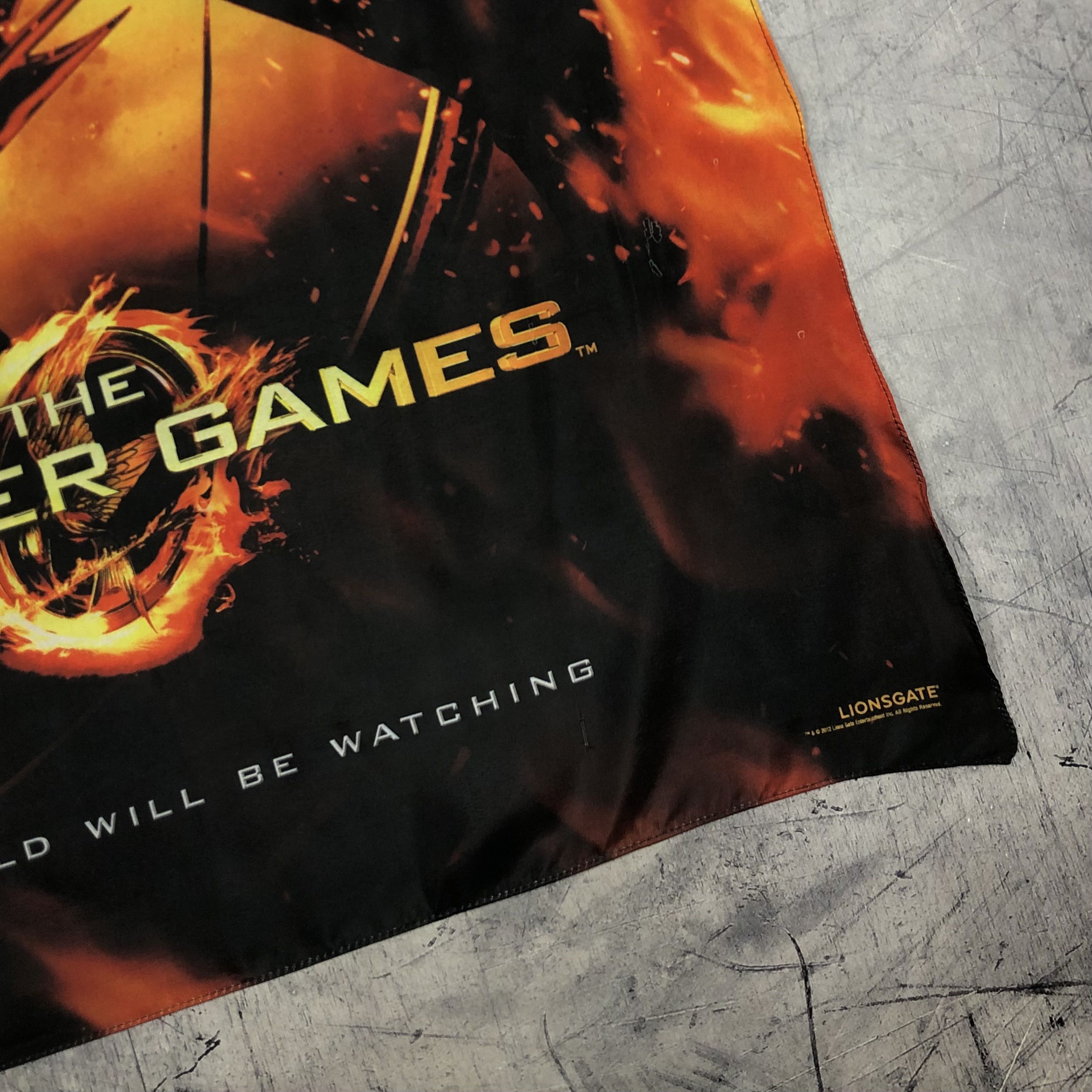 Expert Horror 2012 Hunger Games Dystopian Flag Poster Size ONE SIZE - 6 Thumbnail