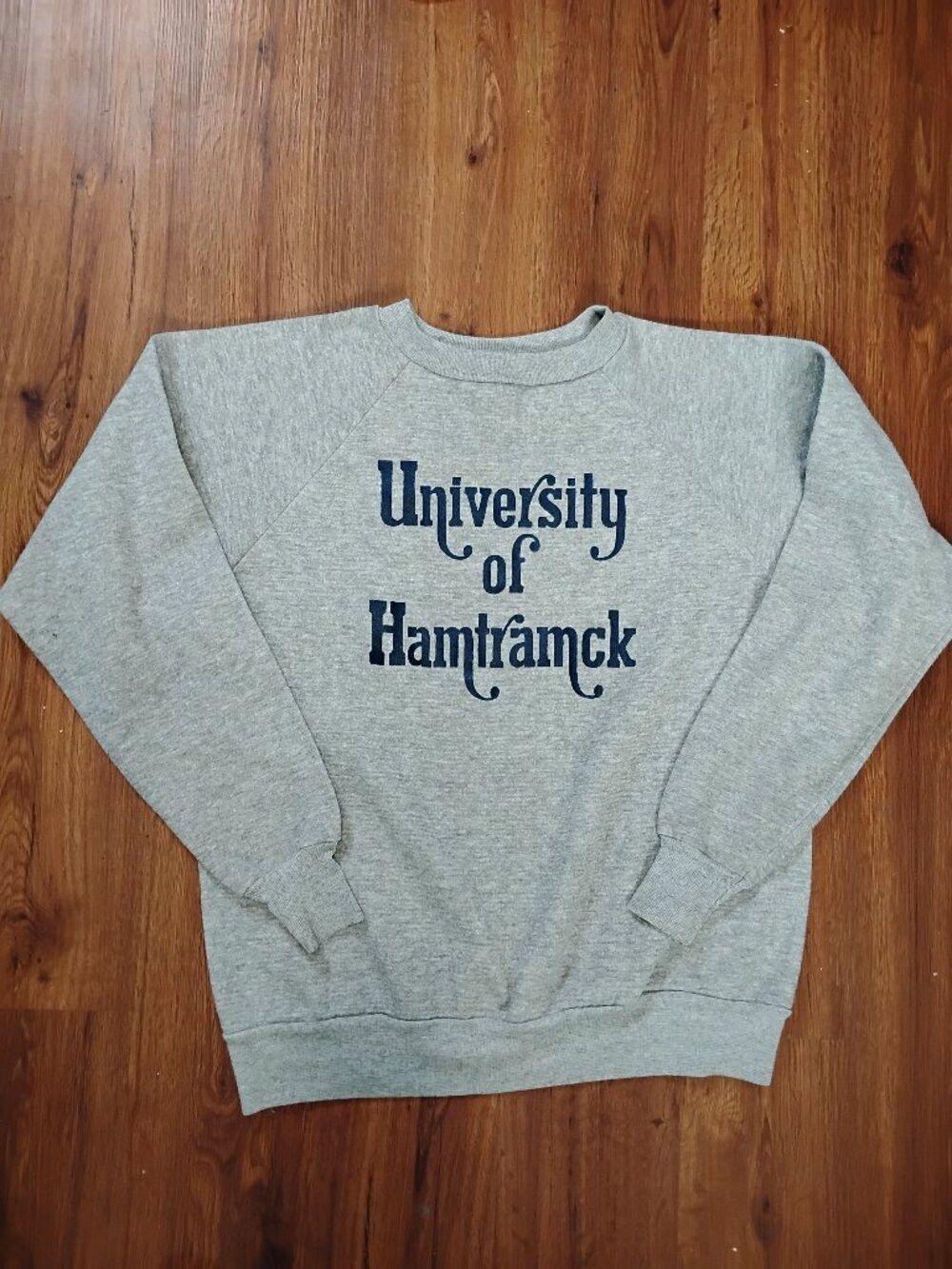 Champion Vintage Champion University of Hamtramck Crewneck Sweatshirt Size US XL / EU 56 / 4 - 2 Thumbnail