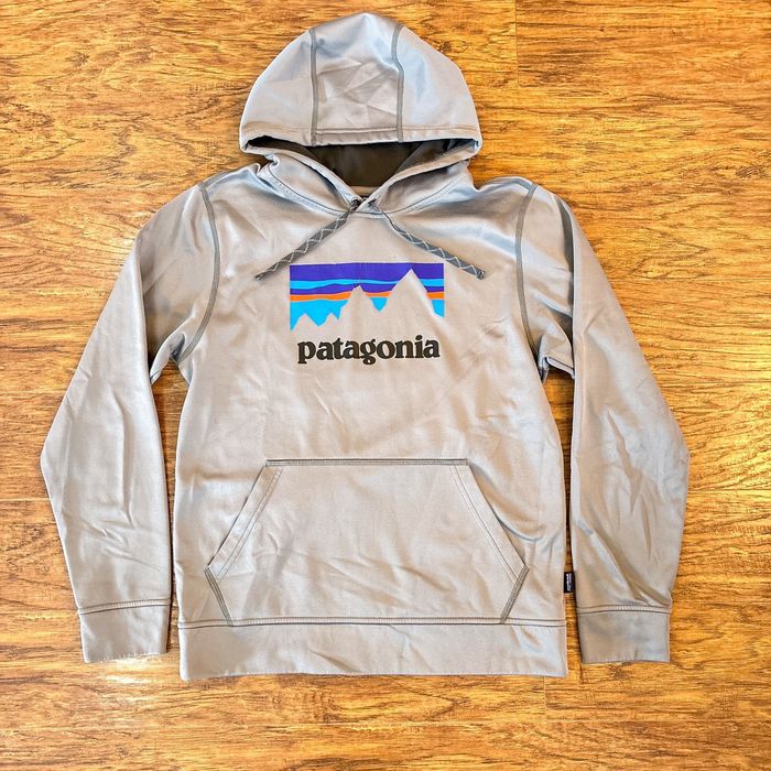 Patagonia shop hot sale sticker hoodie