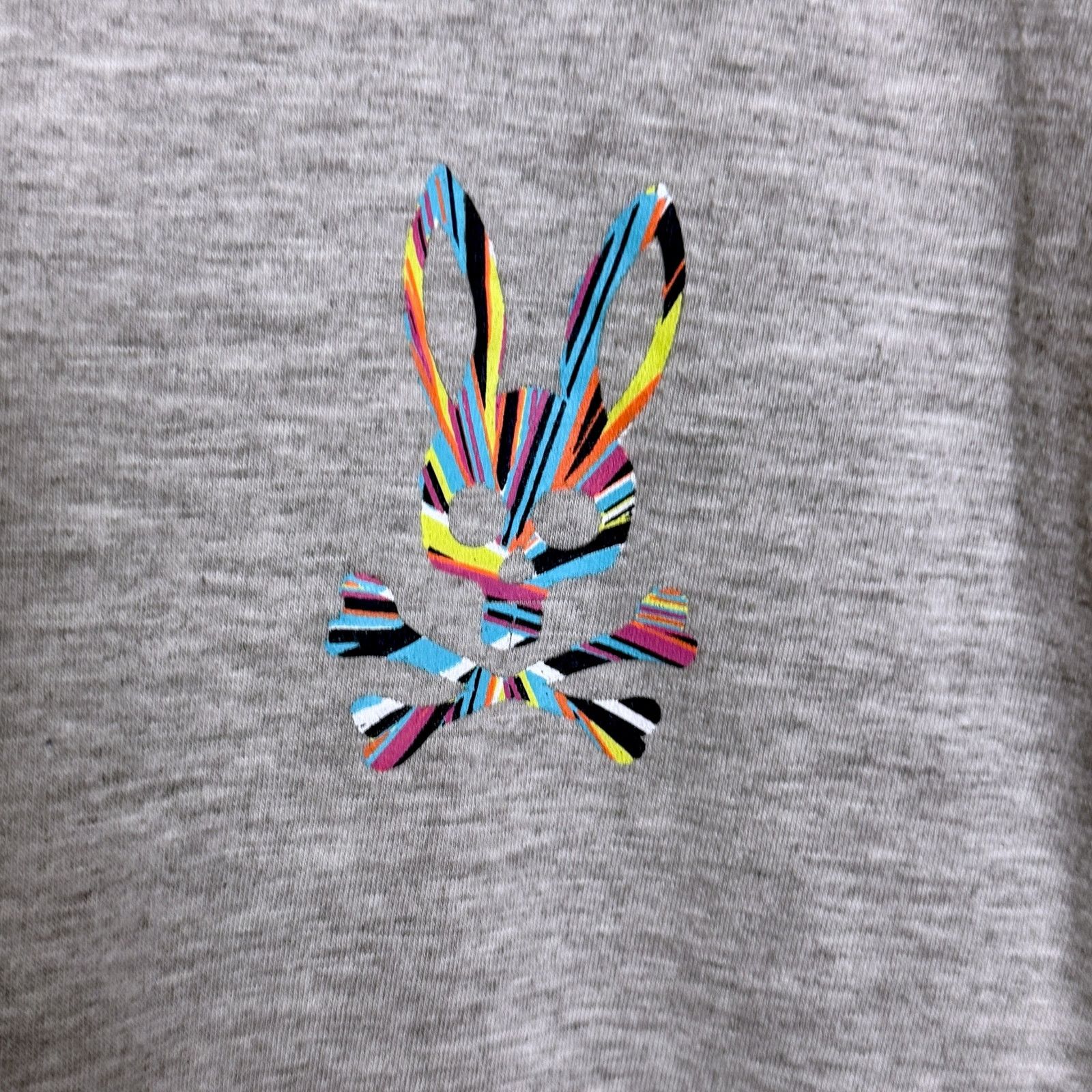 Psycho Bunny Psycho Bunny Men's Large Crossbones Gray Crewneck T Shirt Size US L / EU 52-54 / 3 - 5 Thumbnail
