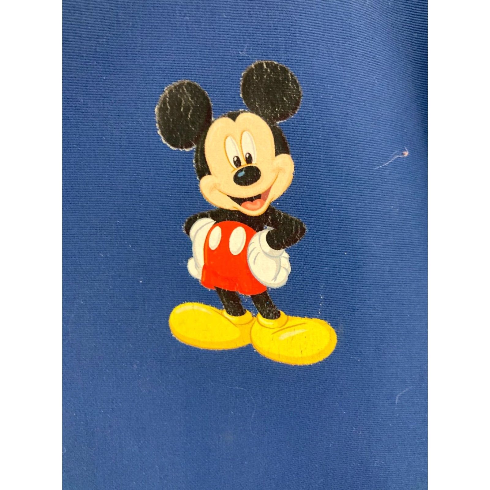 Disney Disney Walt Disney World Hooded Jacket Womens XL Blue Full Zip Mickey Princess Size XL / US 12-14 / IT 48-50 - 6 Thumbnail