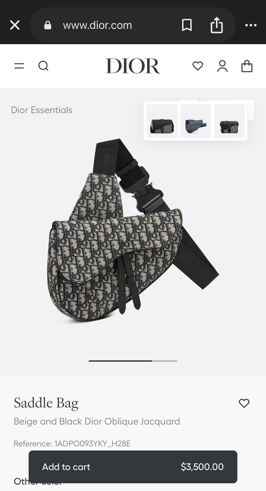 Dior Dior Saddle Bag Size ONE SIZE - 3 Thumbnail