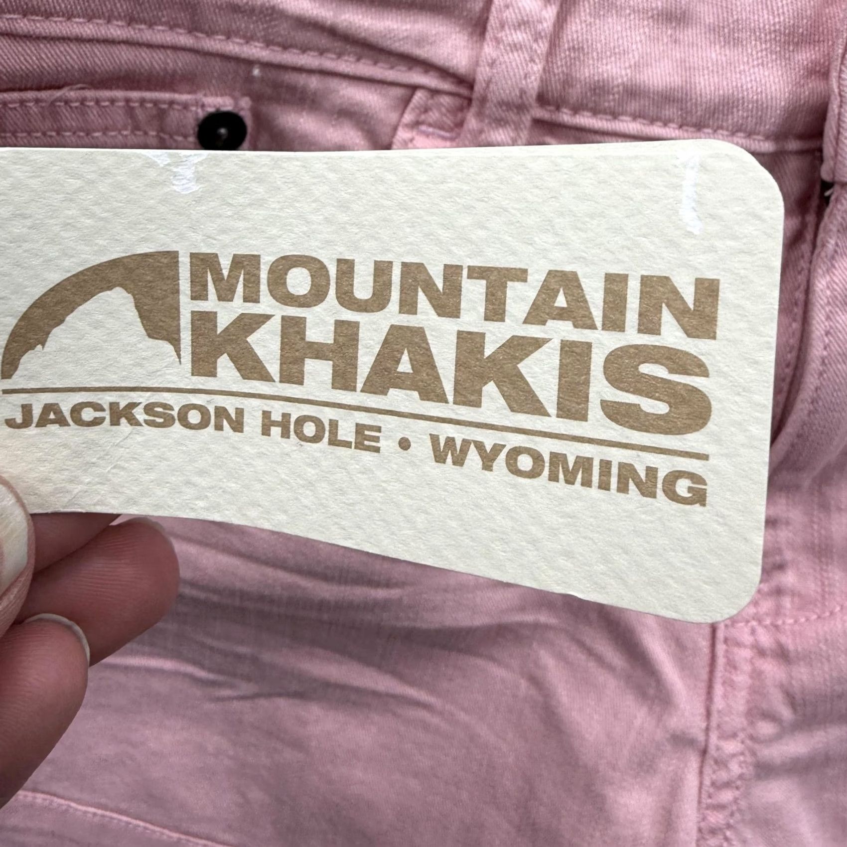 Mountain Khakis Mountain Khakis Skimmer Shorts Womens 8 Pink Denim Stretch 4 Inseam Casual Summer Travel Womens Size 30" / US 8 / IT 44 - 4 Thumbnail