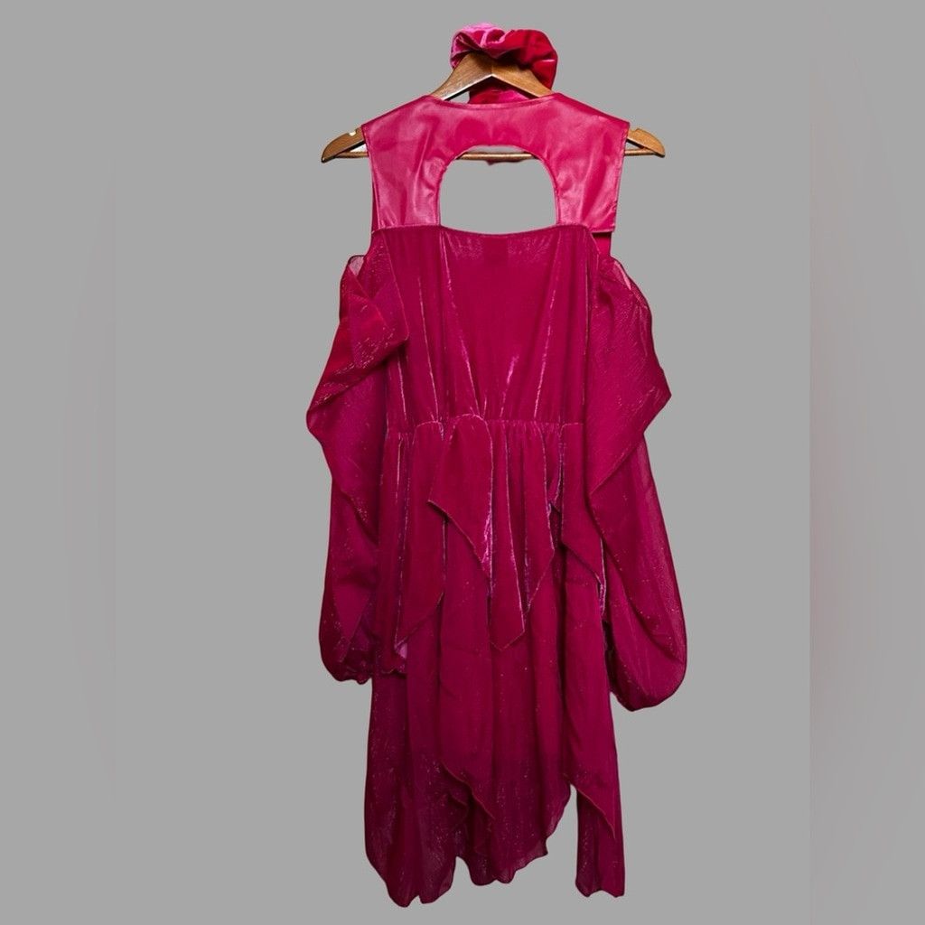 Disney Disney Princess SLEEPING BEAUTY Pink Adult Size L 12/14. Size ONE SIZE - 15 Thumbnail