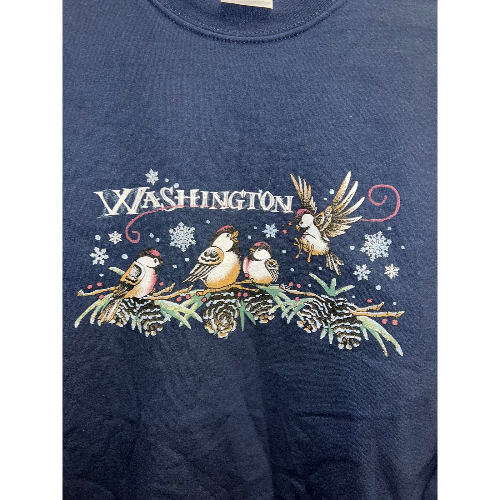 Jerzees Vintage Washington Sweatshirt Crewneck Bird Nature 90s XL Size US XL / EU 56 / 4 - 2 Thumbnail