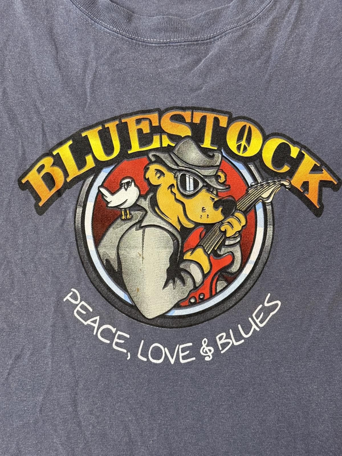 Authentic Pigment Bluestock Festival T-shirt 2011 Buddy Guy Hunger Mountain XL Size US XL / EU 56 / 4 - 4 Thumbnail