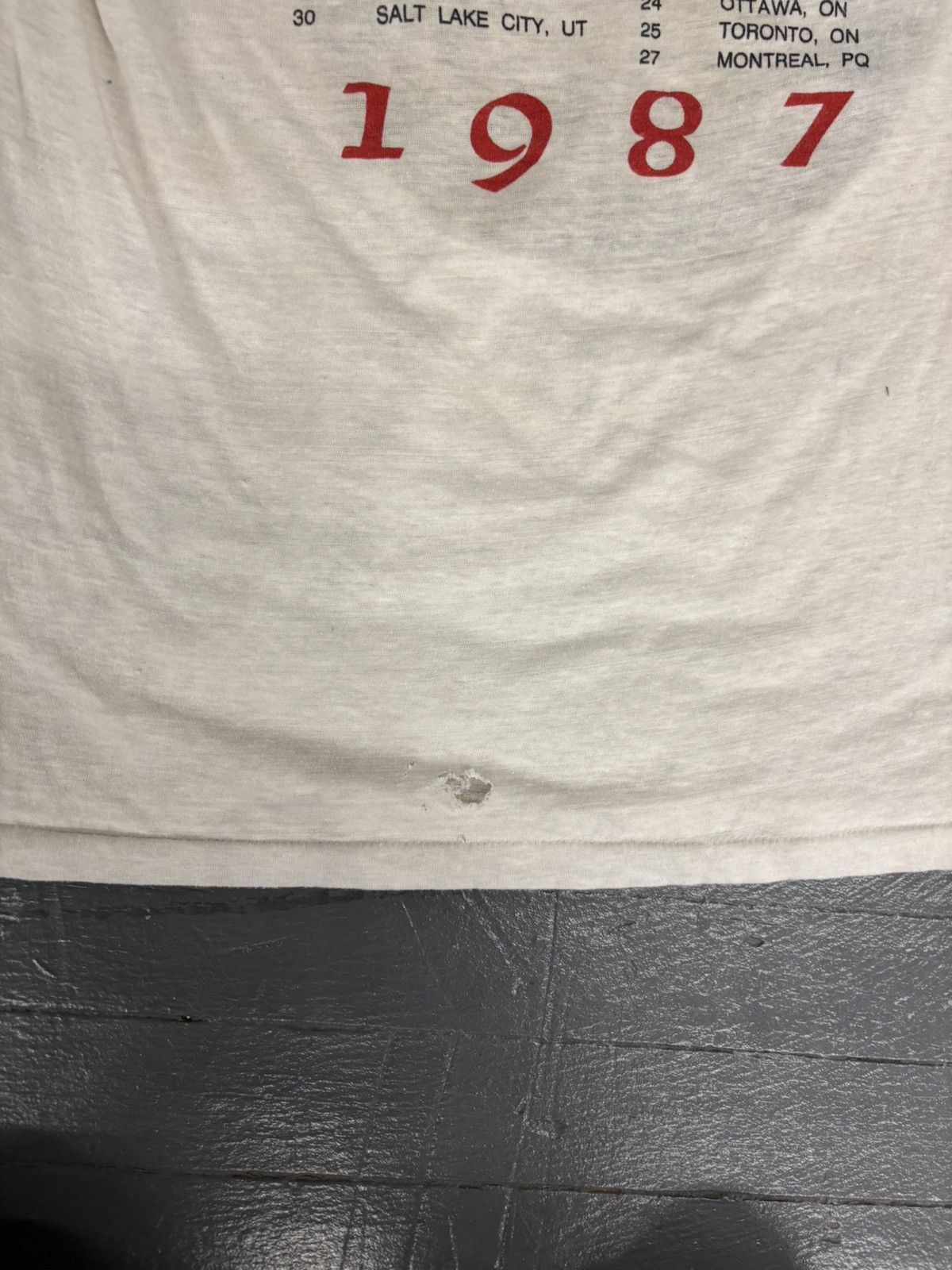 Band Tees × Vintage Vintage 1987 whitesnake tour tee Size US L / EU 52-54 / 3 - 7 Thumbnail
