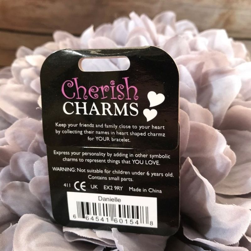 Other Cherish Charms DANIELLE Name Bracelet Charm Silvertone NEW Size ONE SIZE - 2 Thumbnail