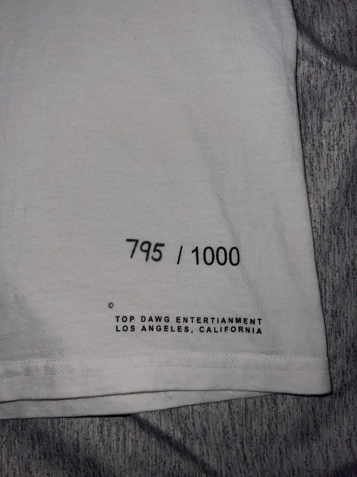 Kendrick Lamar × Top Dawg Entertainment (RARE) TDE Fan Appreciation T-Shirt Size US M / EU 48-50 / 2 - 3 Thumbnail
