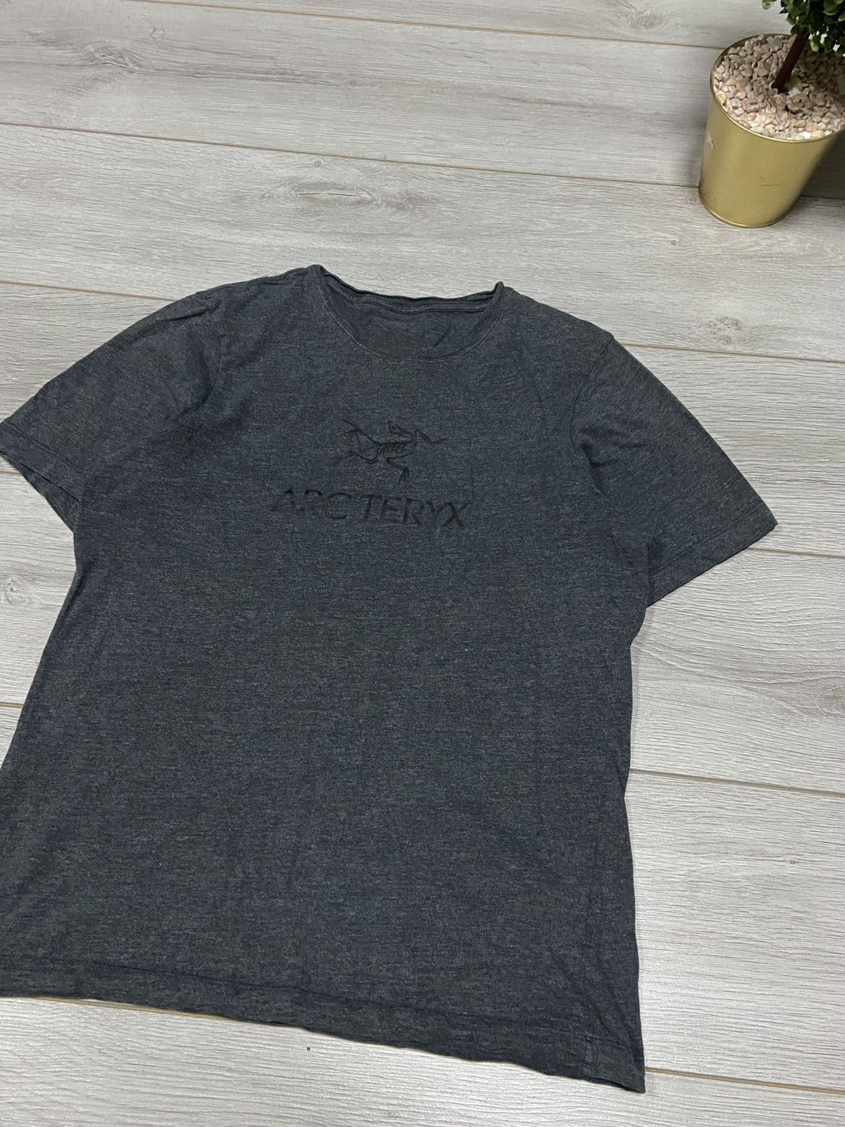 Arc'teryx Arcteryx big logo bird vintage tee Size US S / EU 44-46 / 1 - 2 Thumbnail